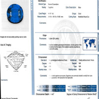 Jewelry Scan Report
