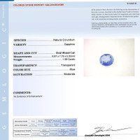 Jewelry Scan Report
