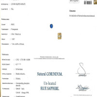 Jewelry Scan Report
