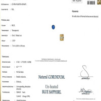 Jewelry Scan Report