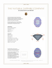 Jewelry 3 D Scan Report