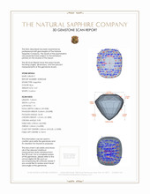 2.67 Ct. Blue Sapphire and Natural Diamond Pave Ring, Platinum 950 3 D Scan Report