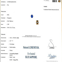 Jewelry Scan Report