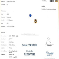 Jewelry Scan Report