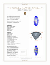 Jewelry 3 D Scan Report