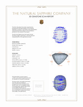 Jewelry 3 D Scan Report