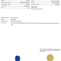 Jewelry Scan Report