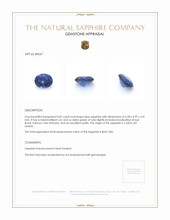 0.87 Ct. Blue Sapphire from Ceylon (Sri Lanka) Appraisal