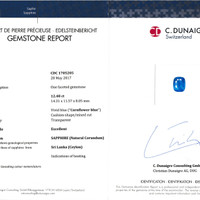 Jewelry Scan Report