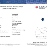 Jewelry Scan Report