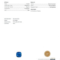 Jewelry Scan Report