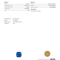Jewelry Scan Report