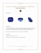 10.17 Ct. Blue Sapphire from Ceylon (Sri Lanka) Appraisal