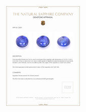 26.26 Ct. Blue Cabochon Sapphire from Ceylon (Sri Lanka) Appraisal