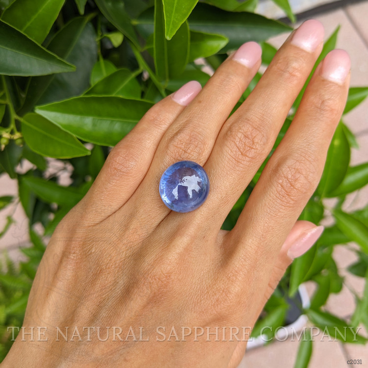 26.26 Ct. Blue Cabochon Sapphire from Ceylon (Sri Lanka)