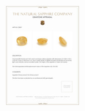 Jewelry Appraisal