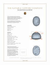 Jewelry 3 D Scan Report