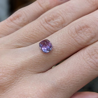 2.06 Ct. Violet Cabochon Sapphire from Ceylon (Sri Lanka) Life Style
