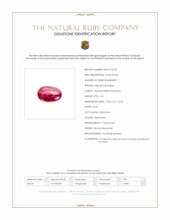 Jewelry Scan Report