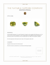 Jewelry Appraisal
