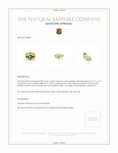Jewelry Appraisal