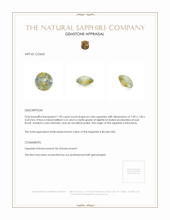 Jewelry Appraisal