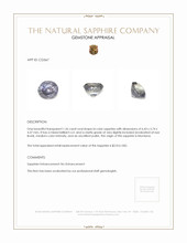 Jewelry Appraisal