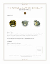Jewelry Appraisal