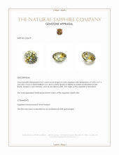 Jewelry Appraisal