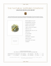 0.62 Ct. Bi Color Sapphire from Montana Scan Report