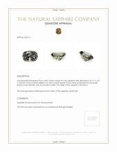 Jewelry Appraisal