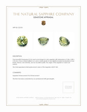 Jewelry Appraisal