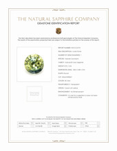 Jewelry Scan Report