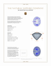 Jewelry 3 D Scan Report
