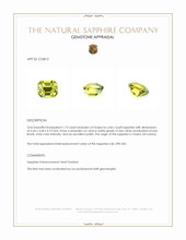 1.73 Ct. Bi Color / Parti Sapphire from Ceylon (Sri Lanka) Appraisal