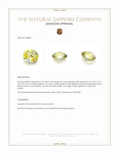 Jewelry Appraisal