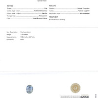 Jewelry Scan Report