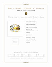 Jewelry Scan Report