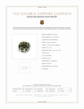 Jewelry Scan Report