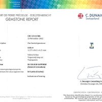 6.04 Ct. Bi Color Sapphire from Ceylon (Sri Lanka) Scan Report