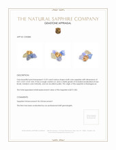 13.59 Ct. Multi Color Rough Sapphire Crystal from Madagascar Appraisal