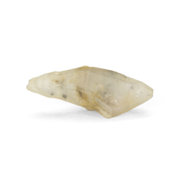 8.69 Ct. Yellowish Brown Sapphire Crystal from Ceylon (Sri Lanka) Video