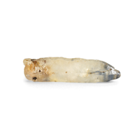 7.00 Ct. Sapphire from Ceylon (Sri Lanka) Video