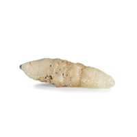 16.97 Ct. Yellow Sapphire Crystal from Ceylon (Sri Lanka) Video