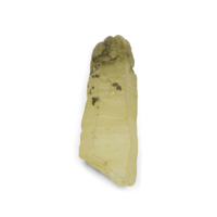 4.49 Ct. Yellowish Brown Sapphire Crystal from Ceylon (Sri Lanka) Video