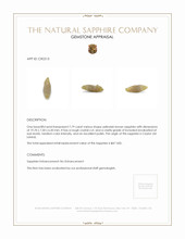 7.79 Ct. Yellowish Brown Sapphire Crystal from Ceylon (Sri Lanka) Appraisal