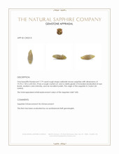 7.79 Ct. Yellowish Brown Rough Sapphire Crystal from Ceylon (Sri Lanka) Appraisal