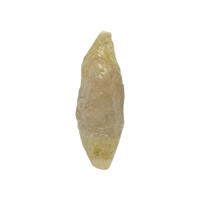 7.79 Ct. Yellowish Brown Sapphire Crystal from Ceylon (Sri Lanka) Video