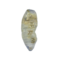 10.30 Ct. Grey Rough Sapphire Crystal from Ceylon (Sri Lanka) Video