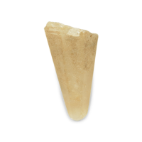 6.36 Ct. Yellowish Brown Rough Sapphire Crystal from Ceylon (Sri Lanka) Video